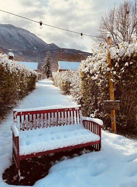 Chalet 3 étoiles - ccbecih in Chézery-Forens, Gex