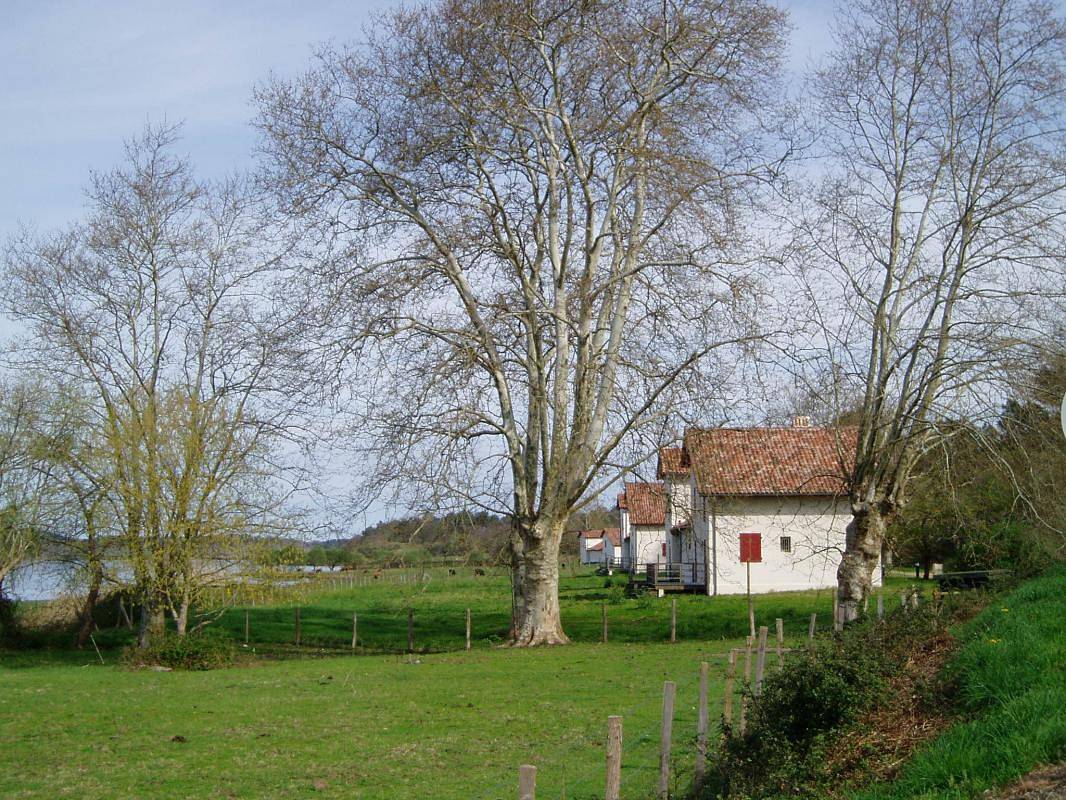 Lacoste 1 in Orx, Côte d’Argent