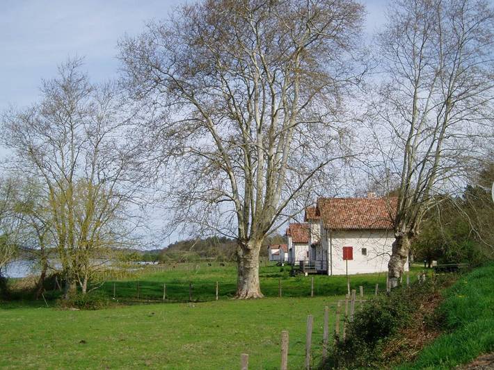 Lacoste 1 in Orx, Côte d’Argent