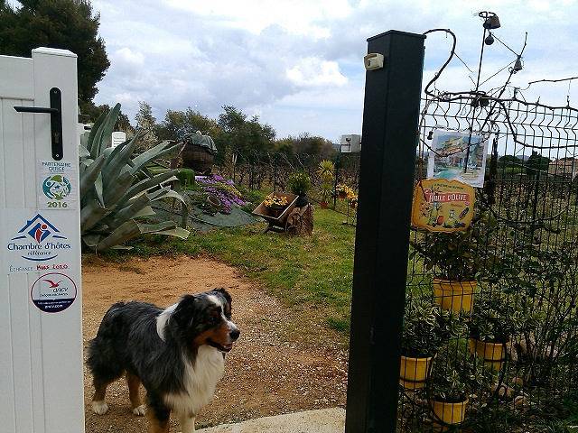 Gîte Florès, La Bastide Neuve des Oliviers in La Londe-les-Maures, Région de Toulon