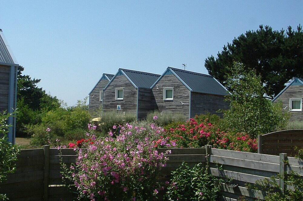 Gîte Cozy à Deux pas de la mer in Le Conquet, Brest region