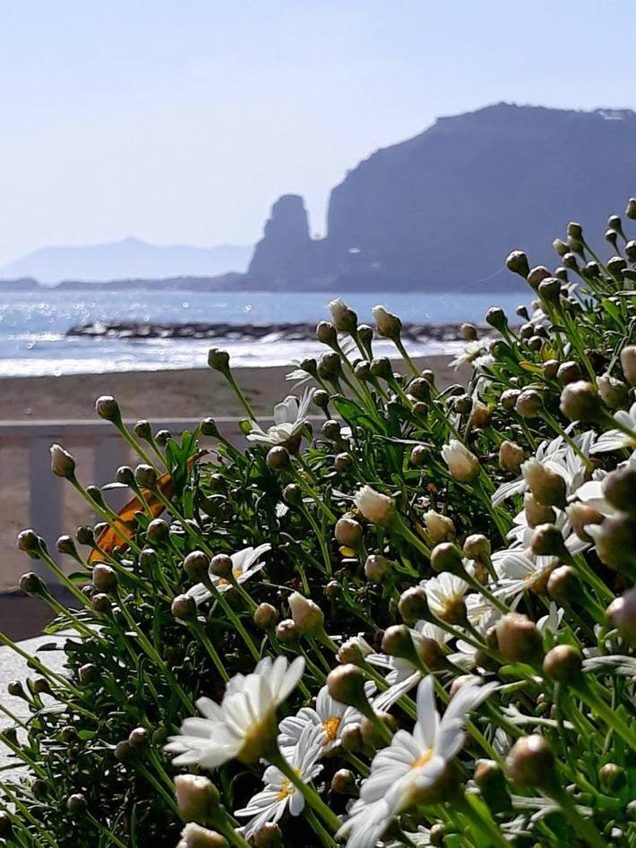 Location de vacances pour 4 personnes, avec vue et jardin à Fondi - 4