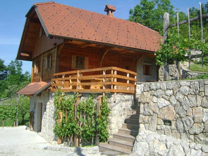 Location de vacances pour 10 personnes, avec Jardin dans Novo mesto