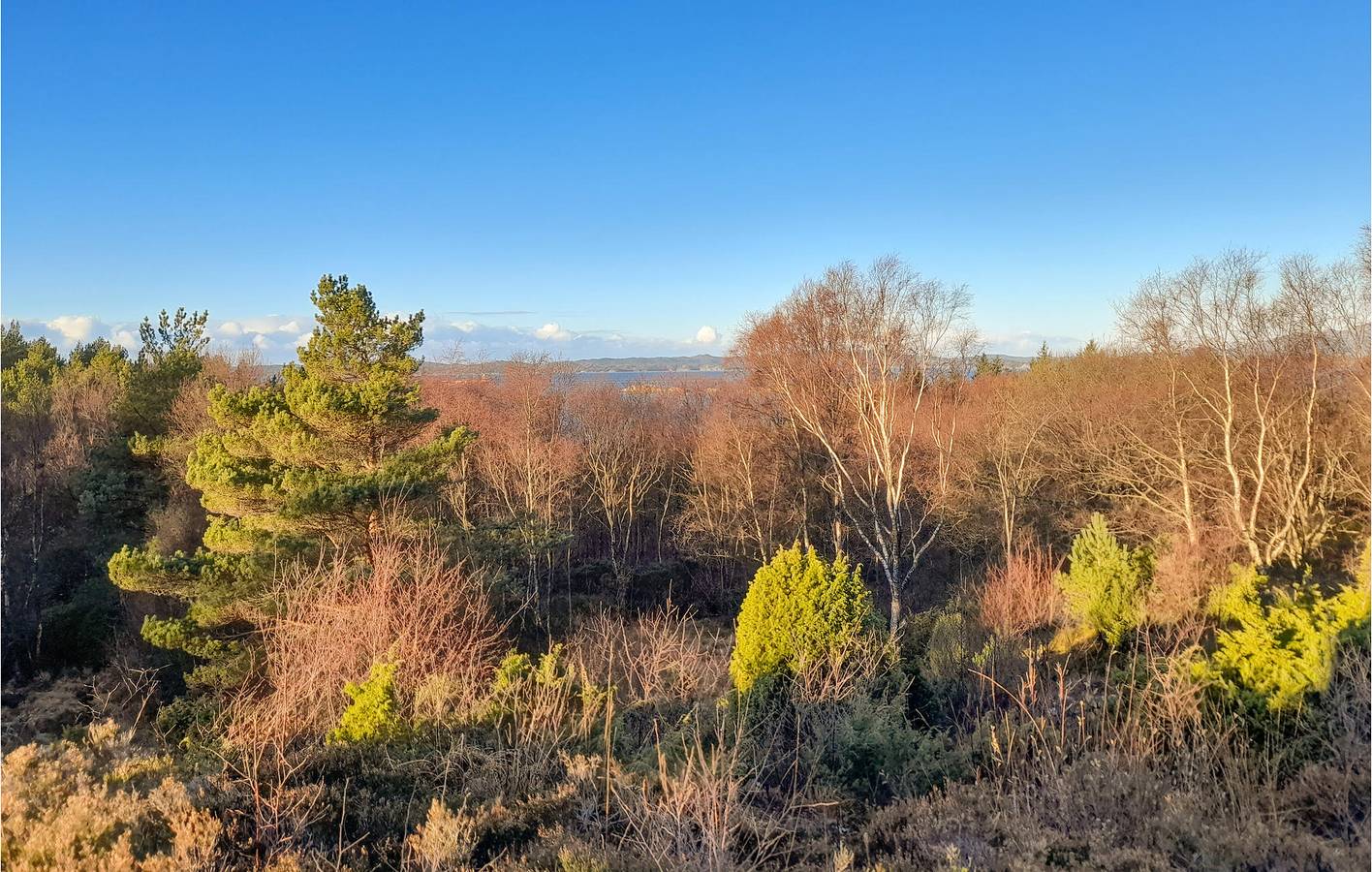 Ferienhaus für 8 Personen mit Garten in Hardangerfjord