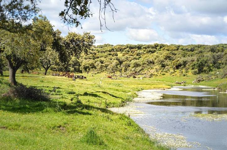 Chalet para 7 personas, con jardín además de vistas y piscina en Sierra de Montánchez - 2