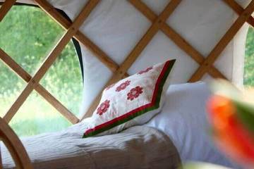 Glamping for 6 People in Fernhurst, West Sussex, Photo 2