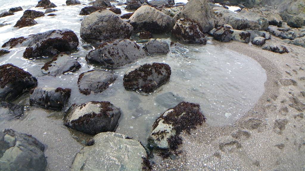 Atemberaubende Aussicht auf das Meer von jedem Zimmer aus! - Weg Zum Strand! - Gratis Wifi ! in California North Coast
