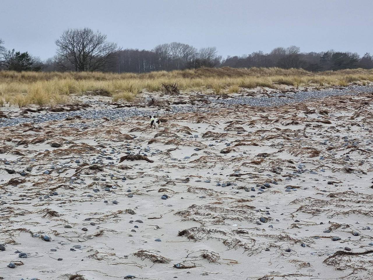 8 Personen Ferienhaus in Stege-By Traum in Ulvshale, Vordingborg und Umgebung