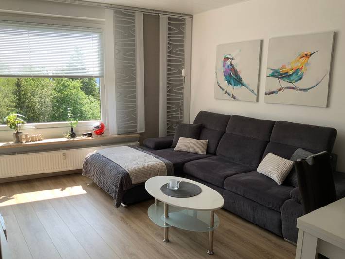 Ganze Wohnung, Ferienwohnung 'Fuchsenstein 44' mit Balkon und Wlan in Spiegelau, Ostbayern