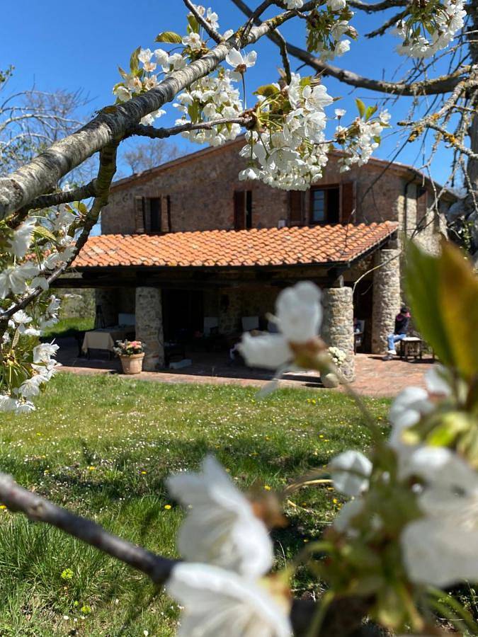 Appartamento intero, Agriturismo Monte Gusciani in Massa Marittima, Provincia di Grosseto