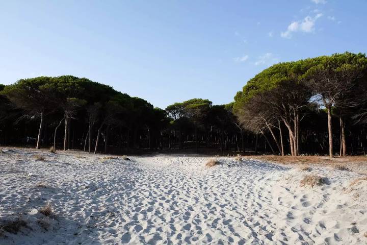 Camping für 4 Personen, mit Terrasse und Pool, mit Haustier in Süditalien - 4
