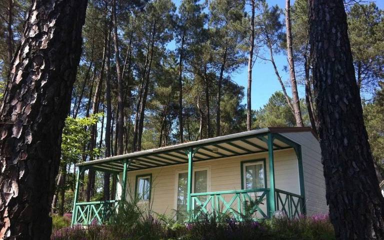 Chalet pour 6 personnes, avec bassin pour enfant en Dordogne - 4