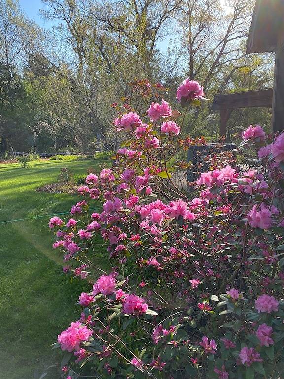 Winter Wonderland Getaway. Whole home with private entrance, yard, parking. in Pierce County (WI)