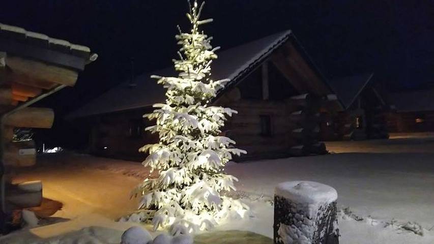 Ferienhaus für 3 Personen, mit Garten in Mecklenburgische Seenplatte - 4