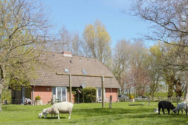 Ferienhaus für 4 Personen, mit Garten und Terrasse in Friedrichstadt - 4