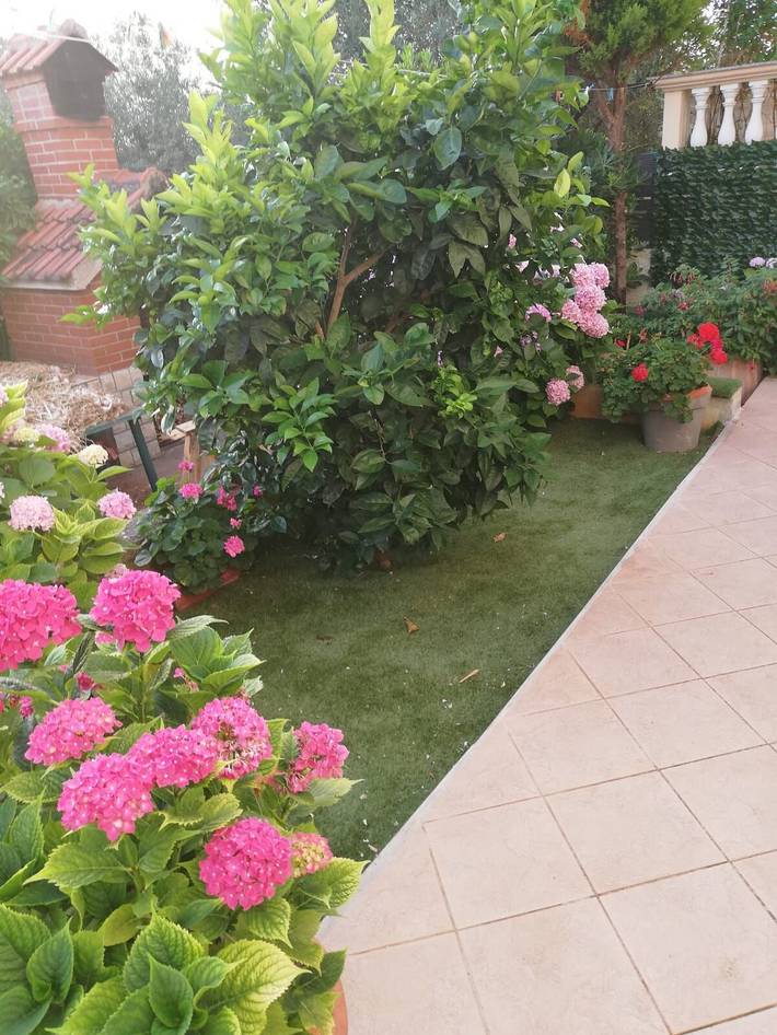 Ganze Wohnung, Apartment Pavin in Plaža Poljana, Poljana