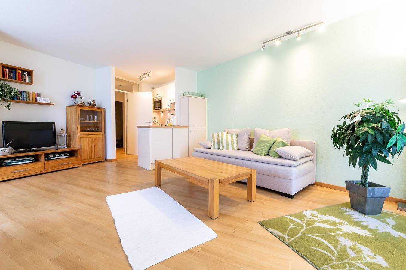 Ganze Wohnung, 2-Zimmer-Apartment (Typ 3) in Immenstaad am Bodensee, Region Bodensee-Oberschwaben