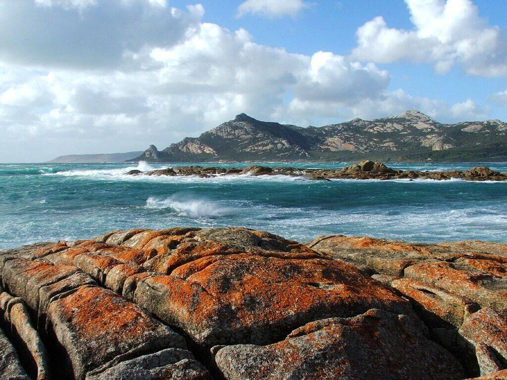 Albies Cottage: Hübsches, abgelegenes Holzhaus in einem Buschblock am Meer in Tasmanien