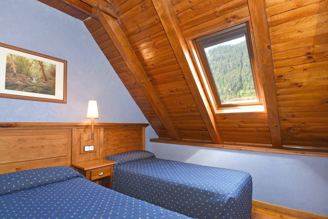 Standard Double Room in Tredós, Naut Aran