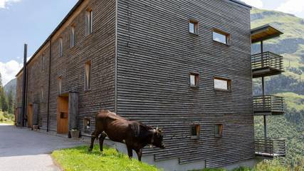 Appartement voor 6 Personen in Warth, Lectaler Alpen, Afbeelding 2