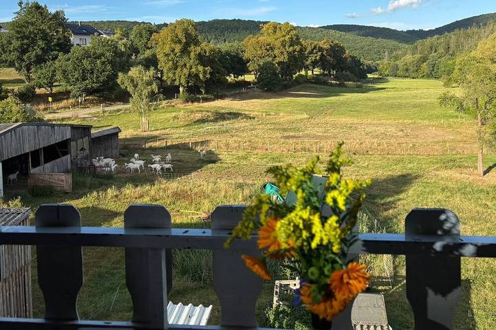 Bauernhof für 5 Personen, mit Balkon und Garten sowie Sauna in Bad Münstereifel