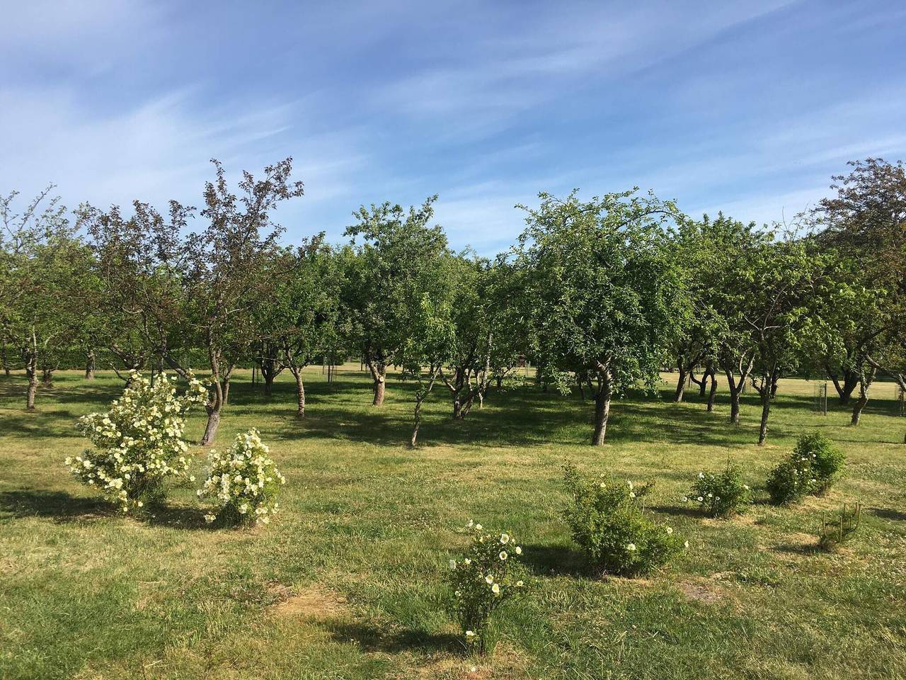 8 Personen Ferienhaus in Sæby in Sæby, Nordostjütland