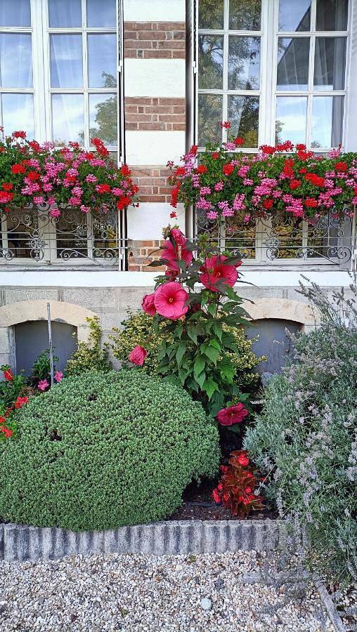 Gîte pour 7 personnes, avec jardin à Neuvy-sur-Barangeon - 4