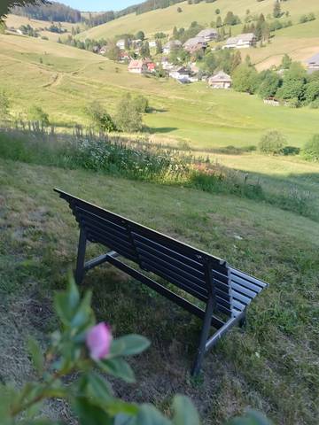 Hütte für 4 Personen in Todtnauberg (Todtnau), Todtnau, Bild 1