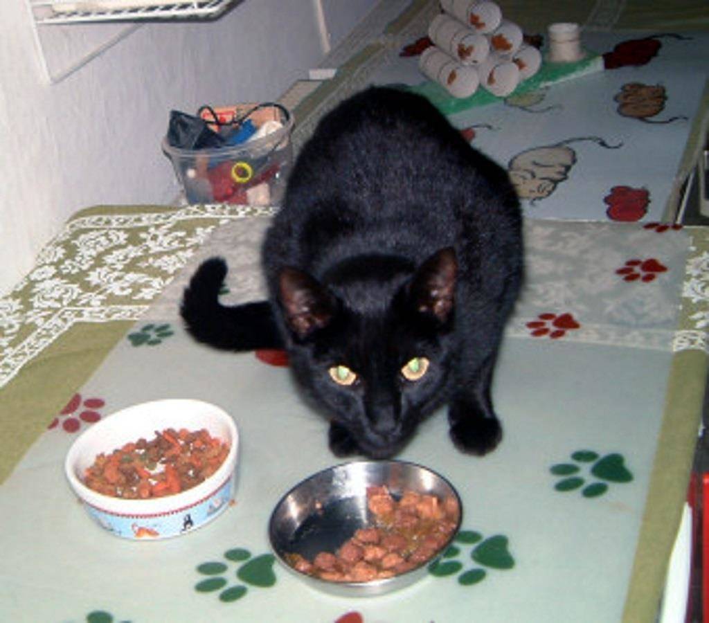 Ganze Ferienwohnung, Ferienwohnung Deichblick in Tating, Eiderstedt