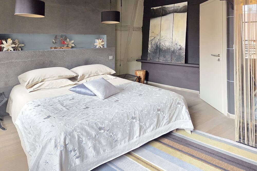 Appartement entier, “Bois & Velours“ équilibre parfait entre le charme alsacien et le caractère déco in Colmar, Région de Colmar