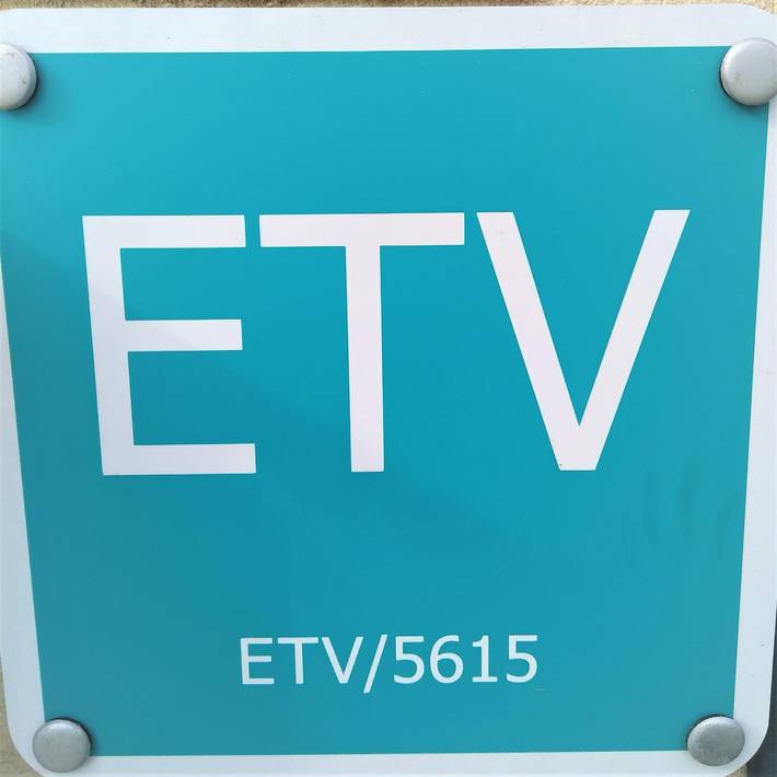 Finca für 8 Personen, mit Balkon und Garten in Son Servera - 3