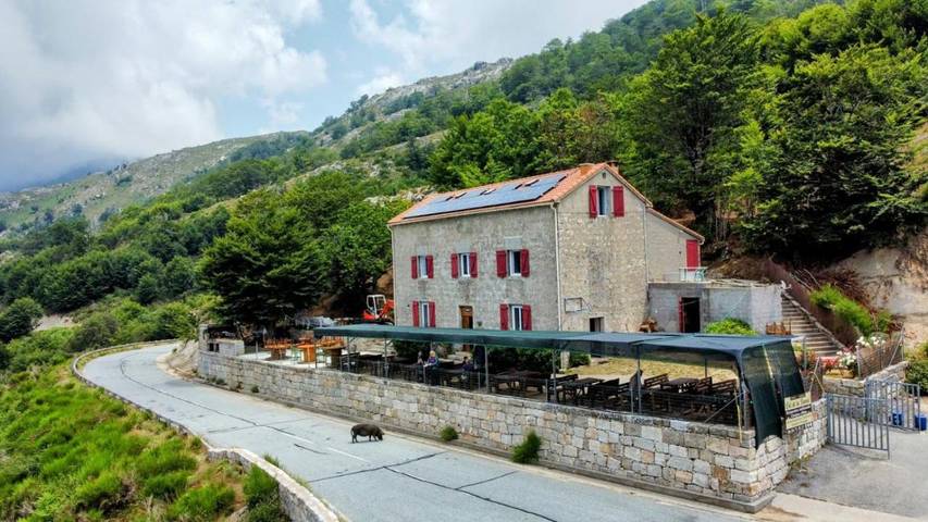 Gîte pour 3 personnes, avec Terrasse et Vue à Olivese