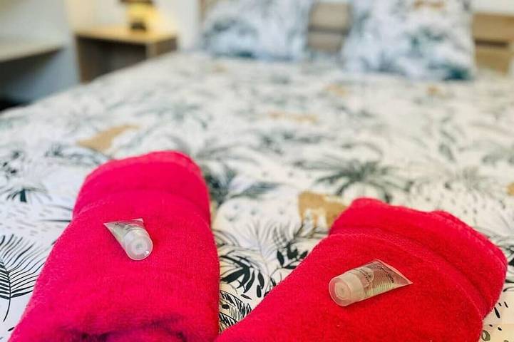 Gîte pour 6 personnes, avec jardin et terrasse, animaux acceptés à Cognac - 3