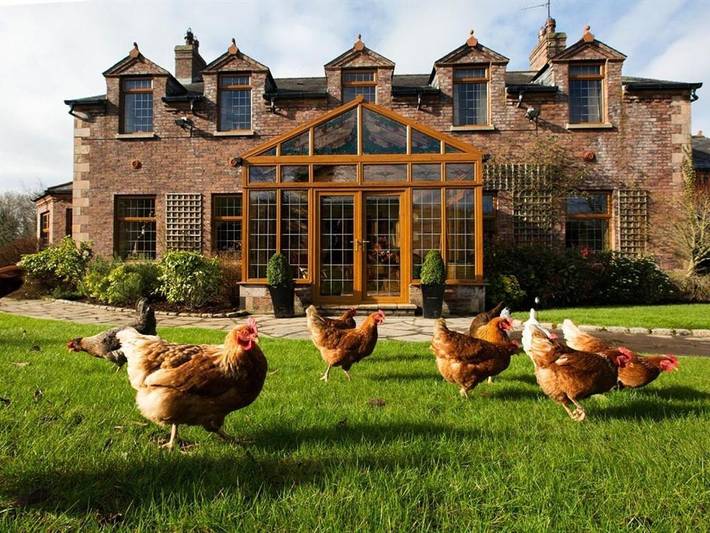 Bed and breakfast for 2 people, with view and garden as well as sauna, with pets in Northern Ireland