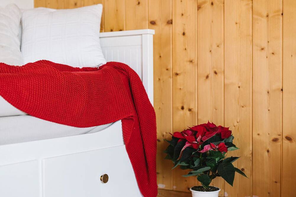 Ganze Wohnung, Apartment Steamboat Suite – mit gemütlichem See- und Bergblick in Spiez, Thunersee