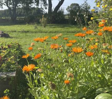 Villa per 6 Persone in Lolland, Selandia, Foto 3