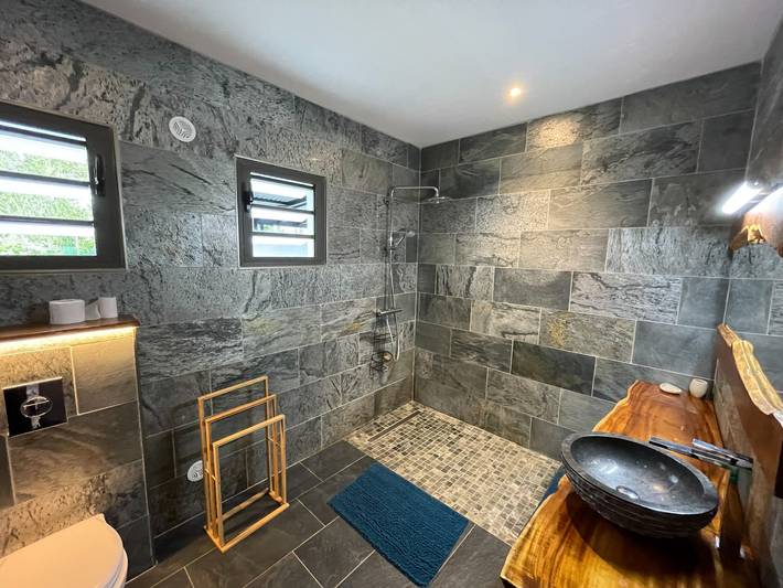 Gîte pour 6 personnes, avec terrasse et jacuzzi dans Piton de la Fournaise - 4