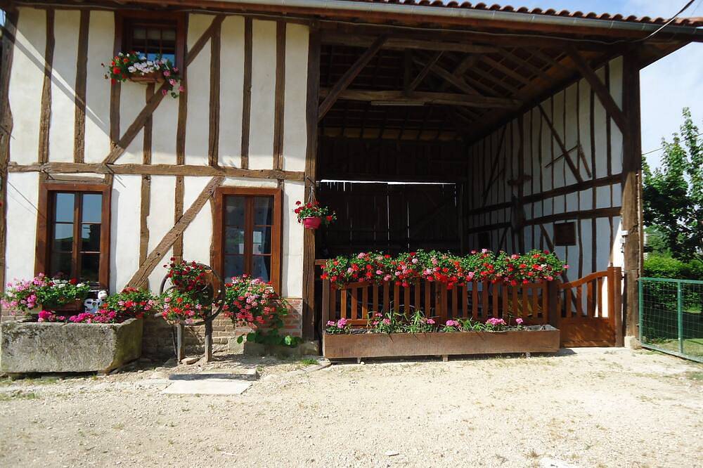 Rest on the farm with our 10 horses in the heart of nature.  Wifi works. in Droyes, Haute-Marne