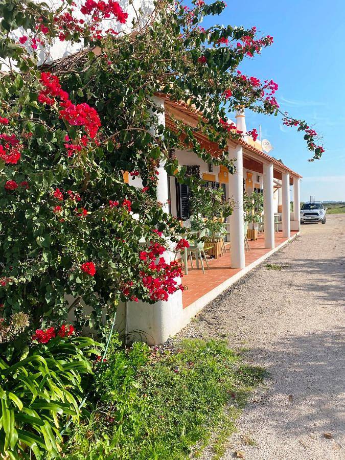 Herdade dos Salgados do Fialho in Sé (Faro), Faro (Portugal)