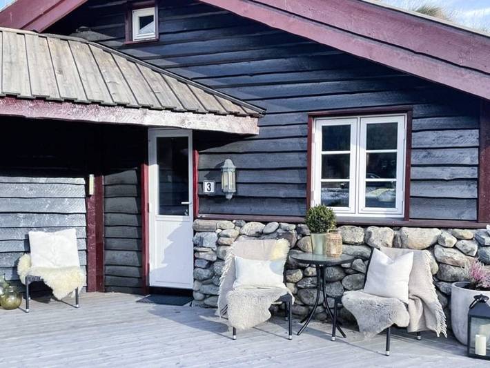 Ferienhaus für 8 Personen, mit Garten in Hemsedal - 3