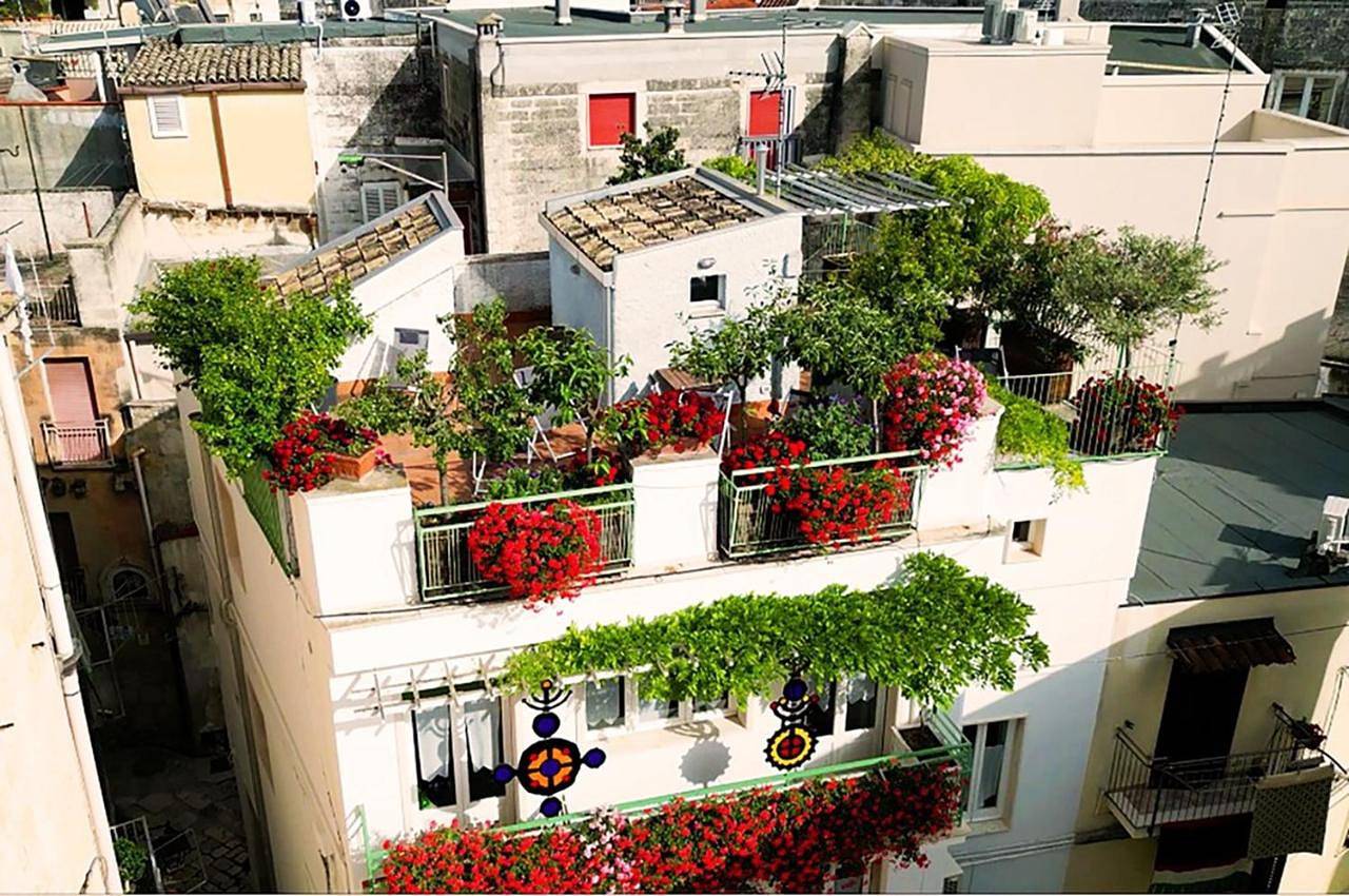 Casa Farella B&B in Suites Apartments and Terrace Altamura x Matera in Altamura, Parco nazionale dell'Alta Murgia