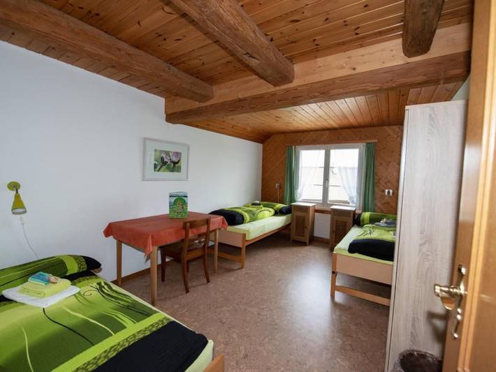 Ganze Wohnung, Manser, Ferien beim Bauer (2.Stock) in Egnach, Bodensee (Schweiz)