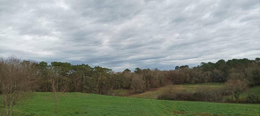 Location de vacances pour 5 personnes, avec jardin et vue à Liorac-sur-Louyre - 2