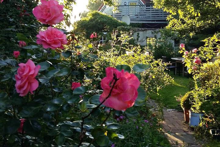 Ganze Wohnung, Gartenidyll am Nationalpark Wattenmeer in Wesselburen, Kreis Dithmarschen
