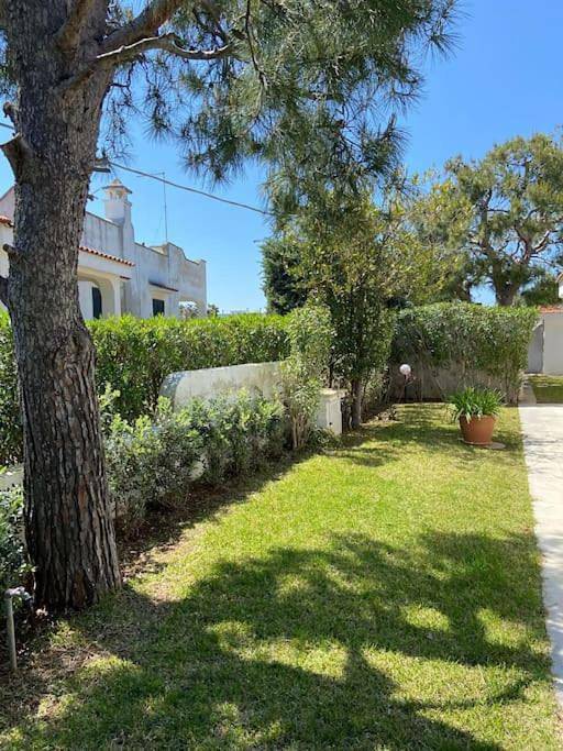 Villa a Marina di Ostuni in Monticelli, Ostuni