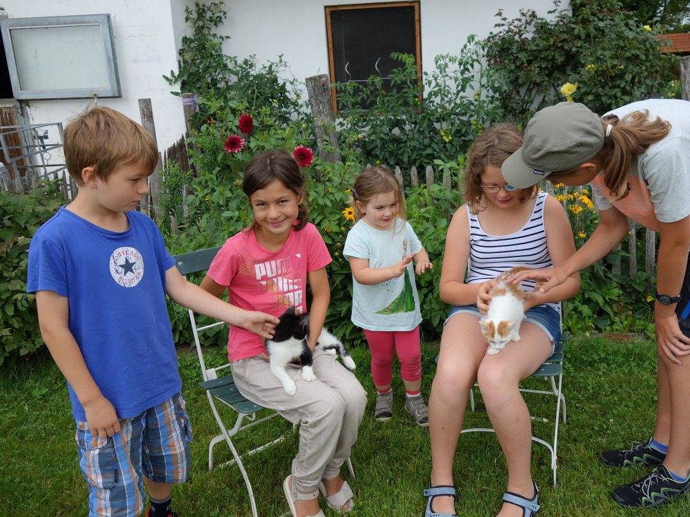 Doblerhof - Gänseblümchen (Doppelhaushälfte, 2 Etagen) in Höslwang, Chiemsee