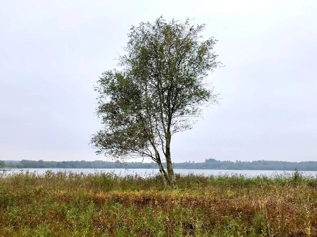 6 Personen Ferienhaus in Ansager in Varde