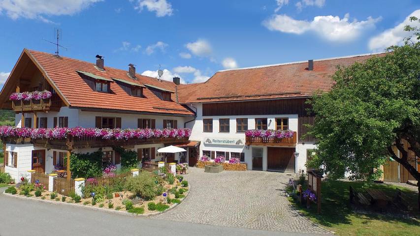 Ferienwohnung für 4 Personen, mit Balkon, mit Haustier - 1