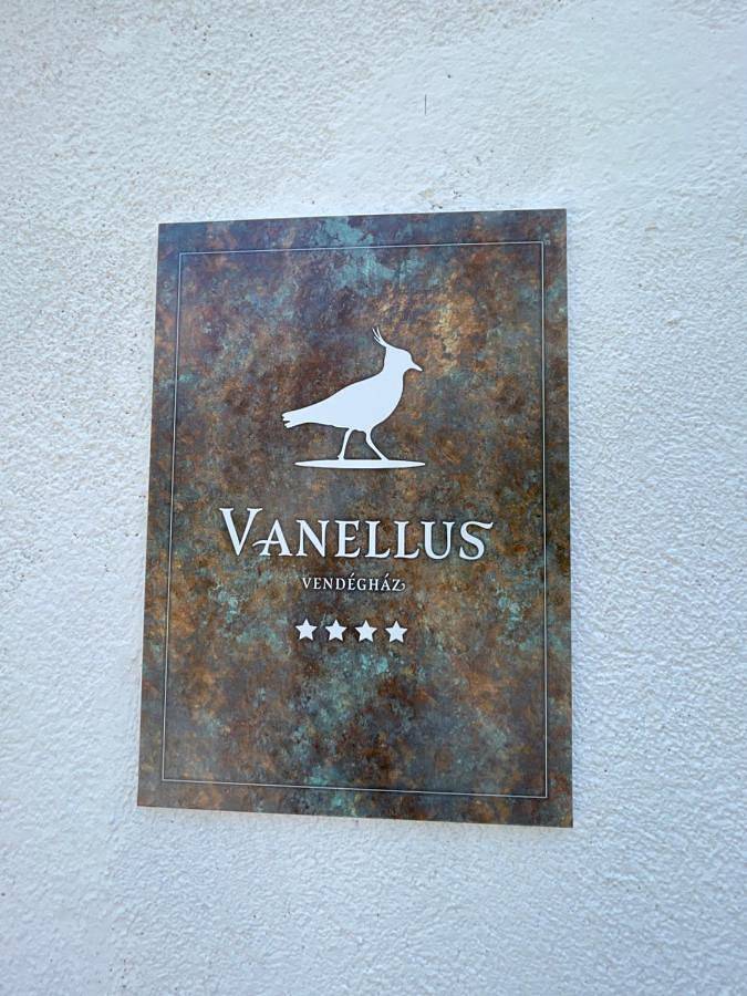 Vanellus in Balatongyörök, Balaton Hochland Nationalpark