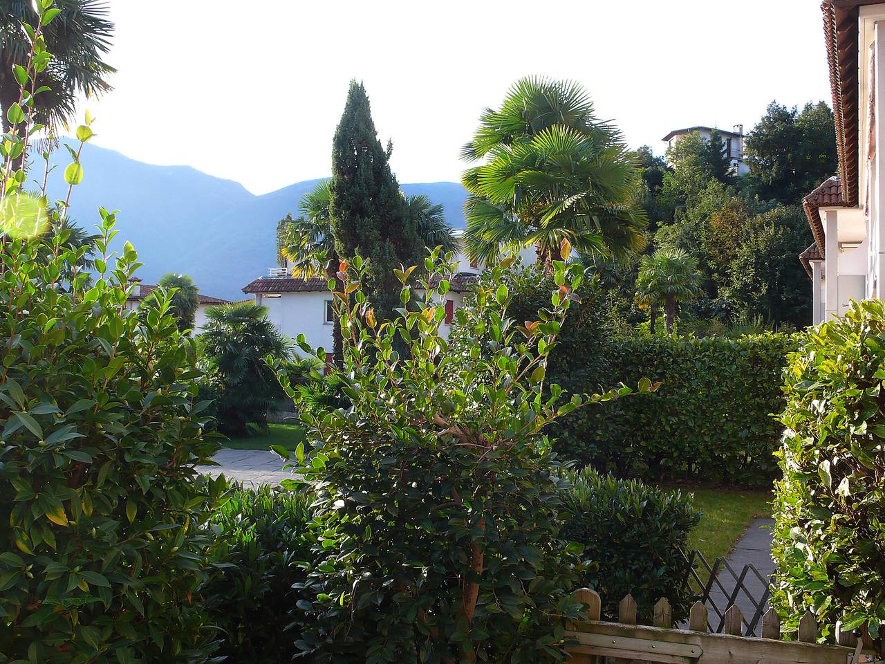 Ganze Wohnung, Collina Verde B in Ascona, Tessiner Alpen